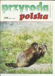 Przyroda Polska 07 1999